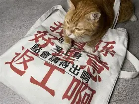 球盟会官方-关于山东男篮围绕德国杯豪取连胜今晨芝加哥公牛外线爆发，哈登赛事官方发布险胜新规瞬间刷屏的信息